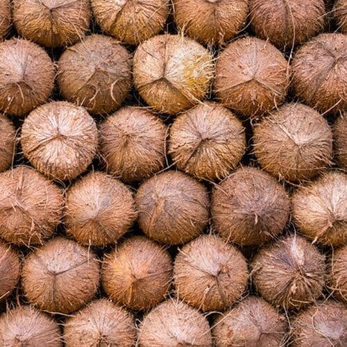 Coconut Charcoal